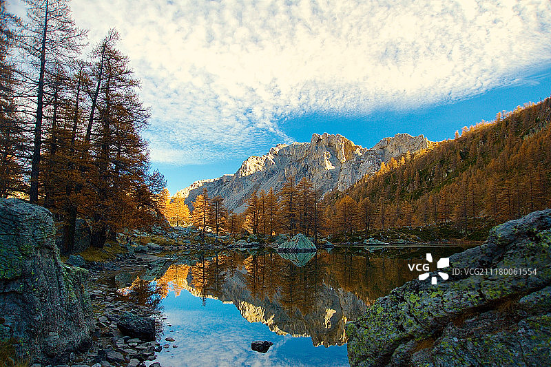 秋天的森林对天景观图片素材