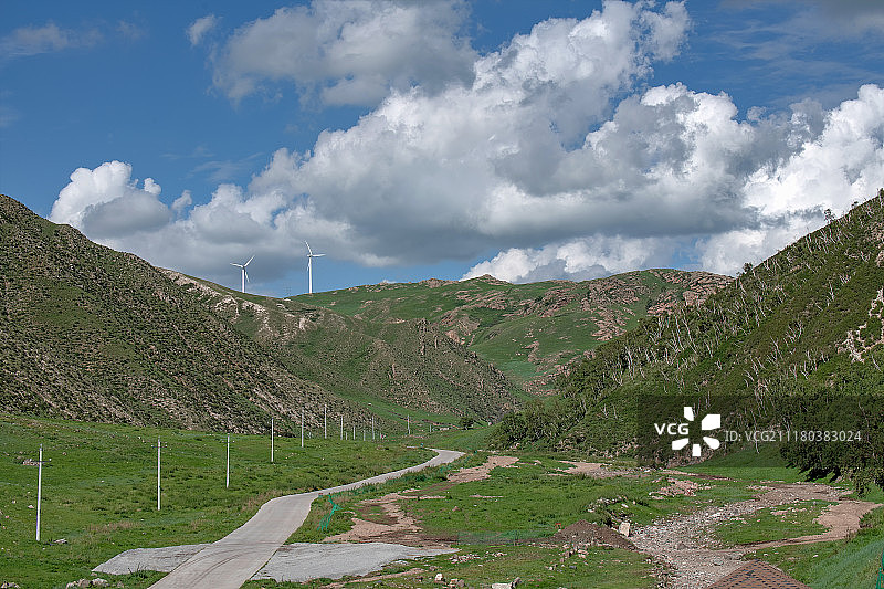 辉腾锡勒草原黄花沟图片素材