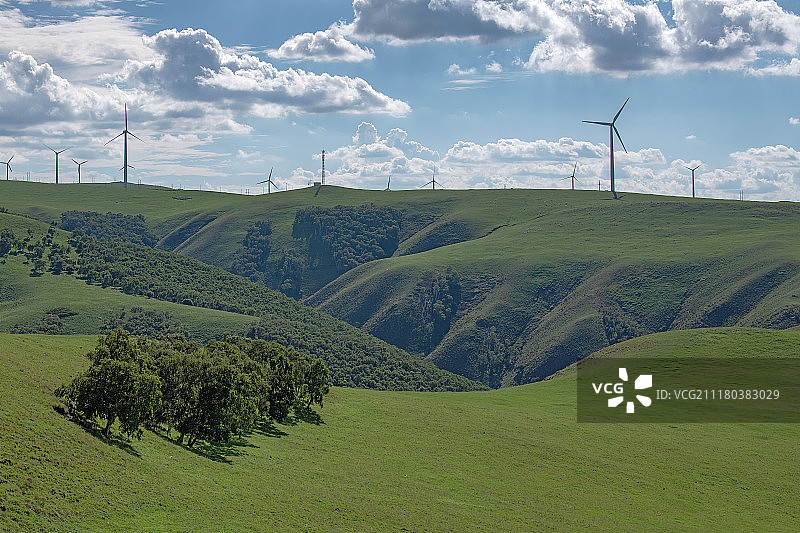 辉腾锡勒草原黄花沟图片素材