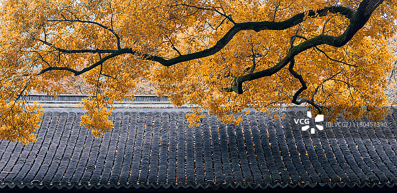 The Colour of Autumn图片素材