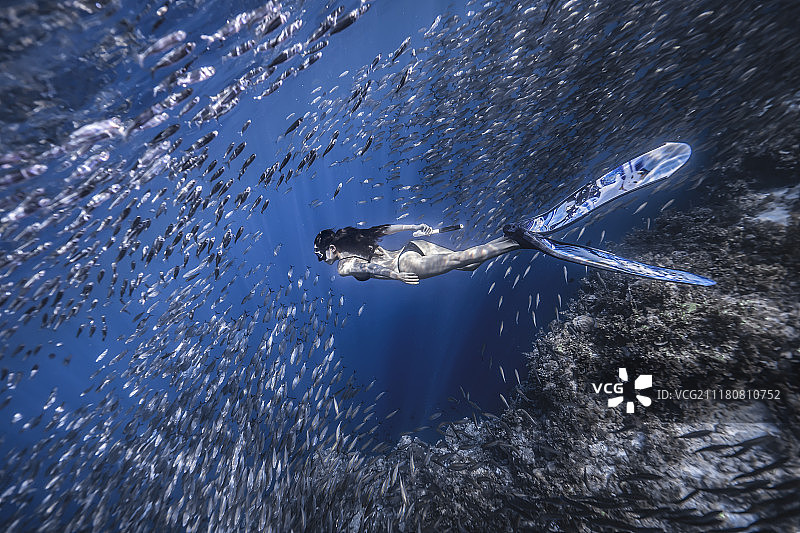 菲律宾深海里潜水的女人和鱼群图片素材
