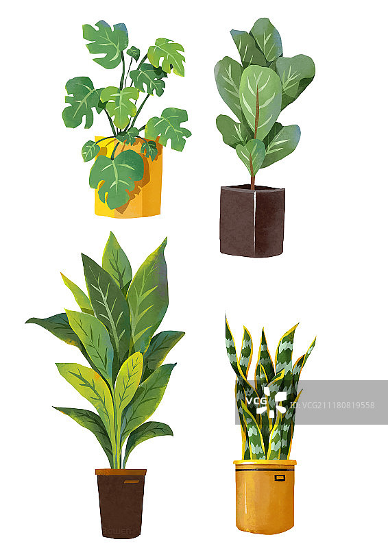 扁平风插画 绿色植物图片素材