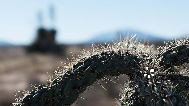 闪亮的尖刺图片素材