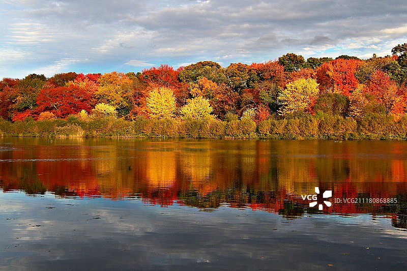 马萨佩夸保护区图片素材