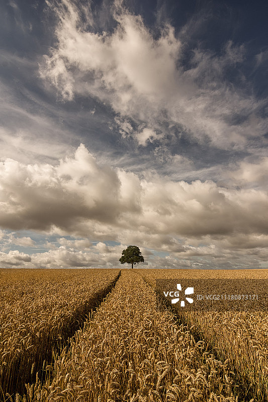 独自在云端图片素材