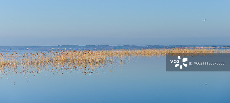 欧洲法国比斯卡罗斯湖日出时的清晨图片素材