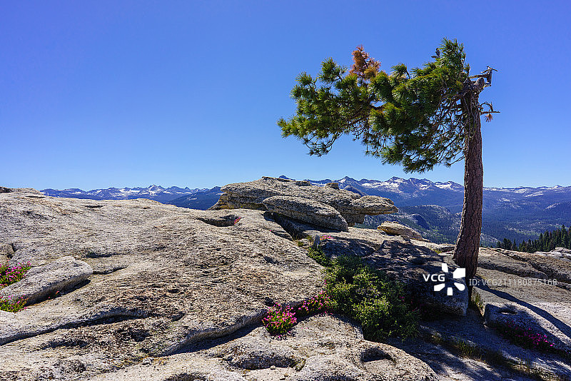 优胜美地国家公园哨兵穹丘图片素材