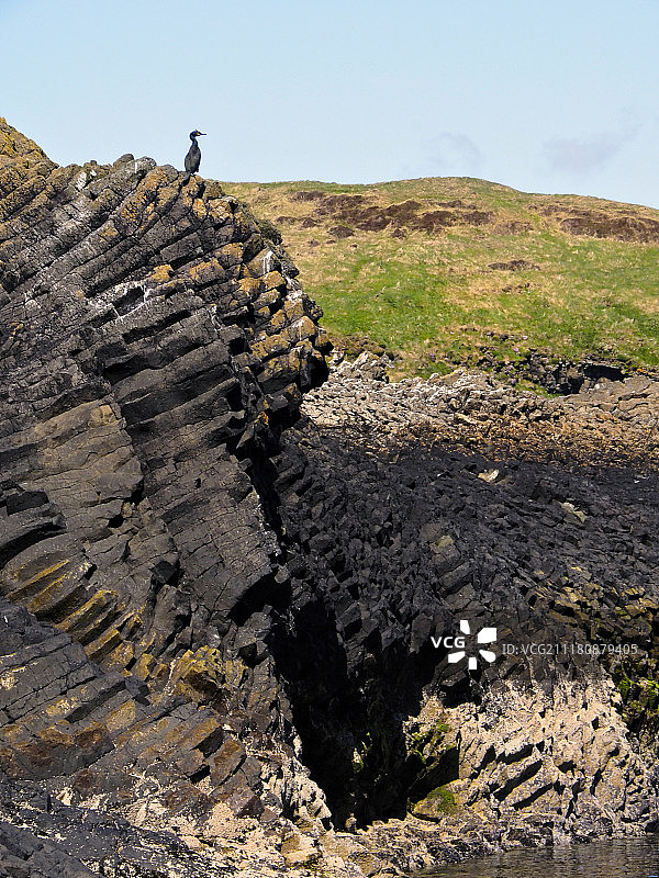 斯塔法岛内赫布里底群岛苏格兰海岸线上的鸬鹚图片素材