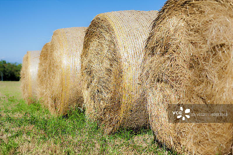 农民的炎热夏季图片素材