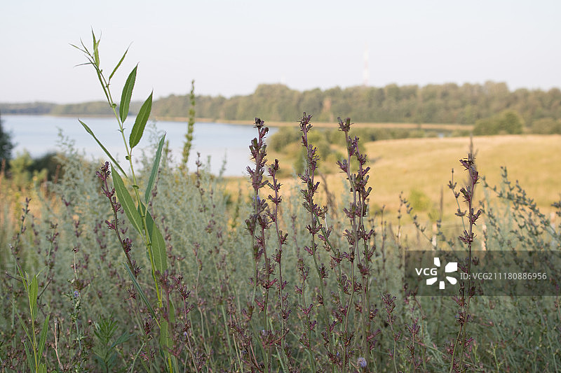 白俄罗斯风景图片素材