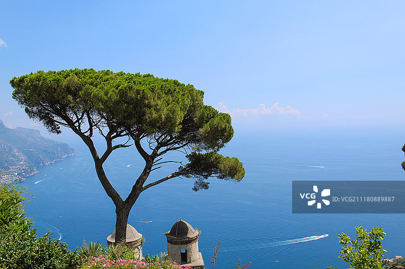 拉韦洛镇的树木图片素材