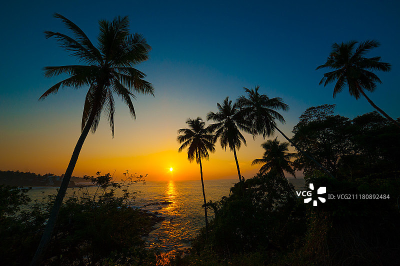 美丽的热带日落图片素材