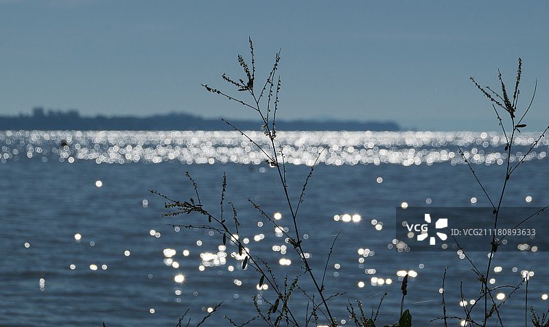 夏季巴拉顿湖风光图片素材