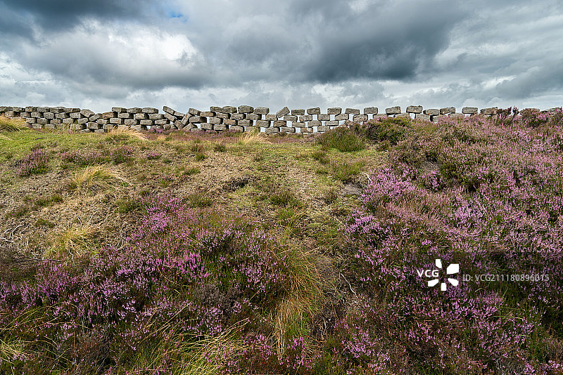 沃斯克利墙图片素材