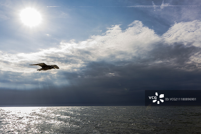 诺亚方舟图片素材