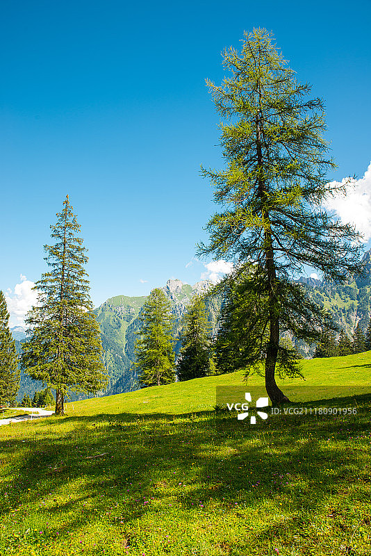 布兰德纳塔尔，福拉尔贝格州的美丽小山谷图片素材