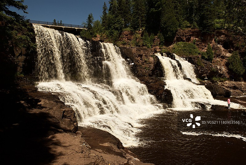 醋栗粉图片素材