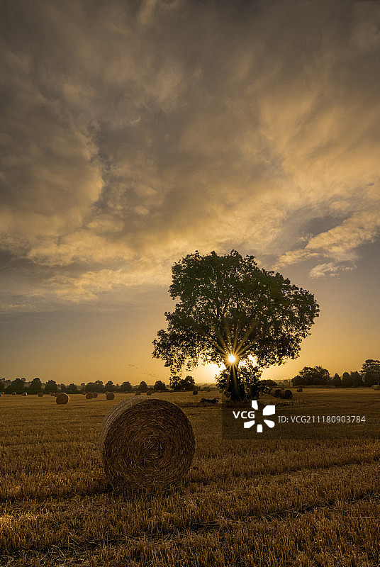 收获之后图片素材