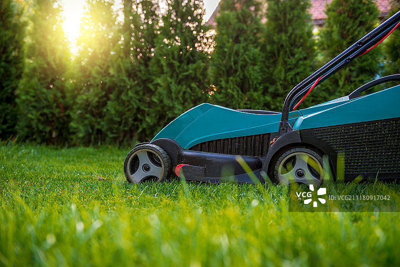 用电动割草机割草图片素材