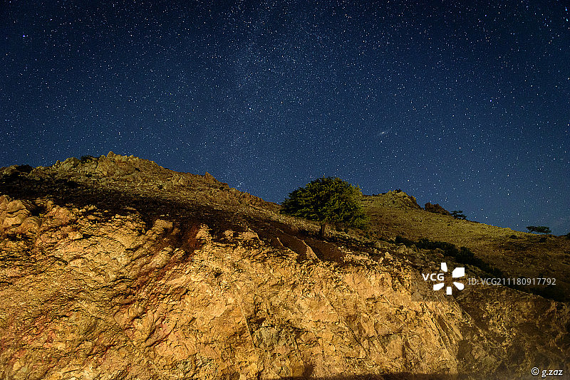 仙女座下的孤树图片素材