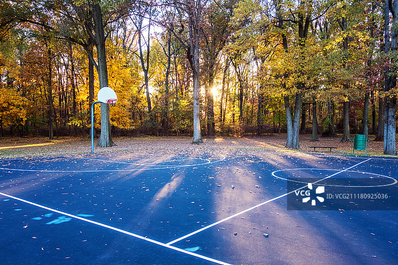 森林中的篮球场图片素材