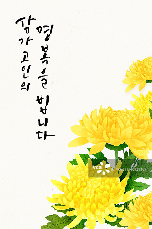 葬礼，菊花，鲜花图片素材