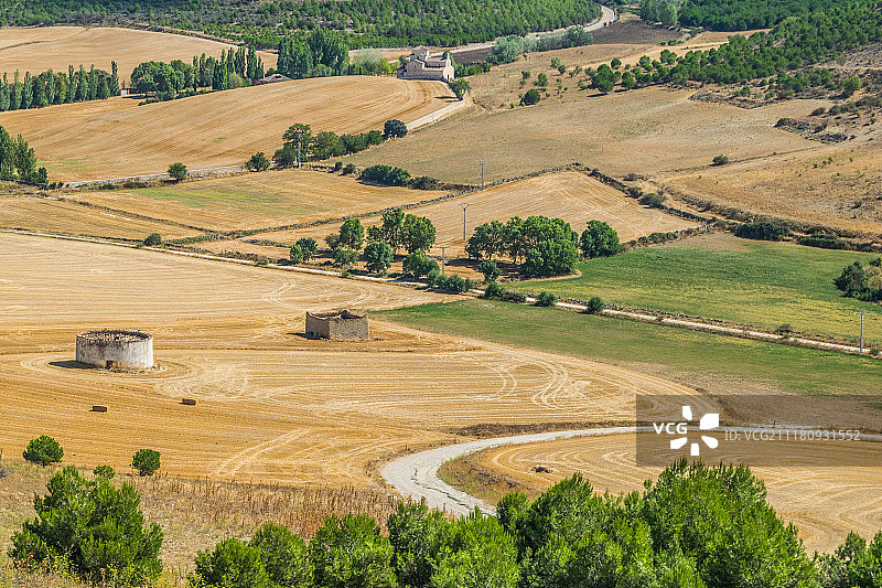 八月田野风光图片素材