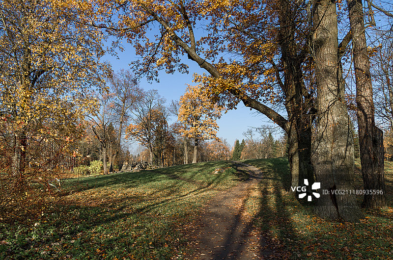 普希金的秋天图片素材