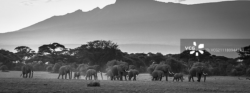 坦博斯进行曲图片素材