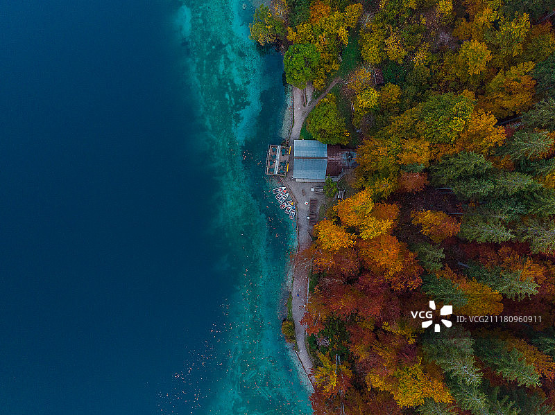 秋季森林和湖岸建筑航拍图片素材