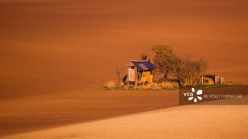 贫瘠棕色田野上的小屋与光秃的树木图片素材