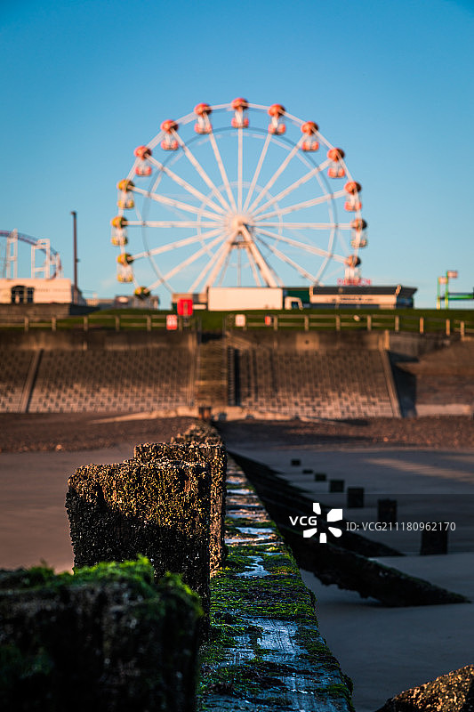 格兰扁眼图片素材