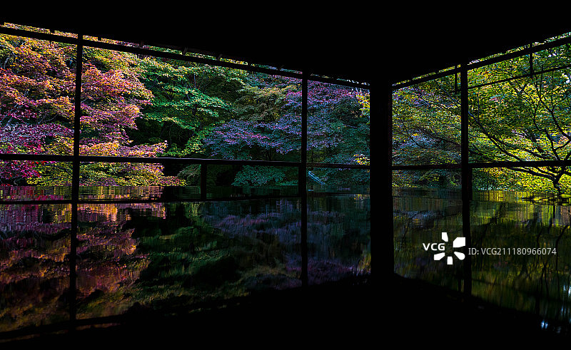 日式建筑中的秋日树木景观图片素材