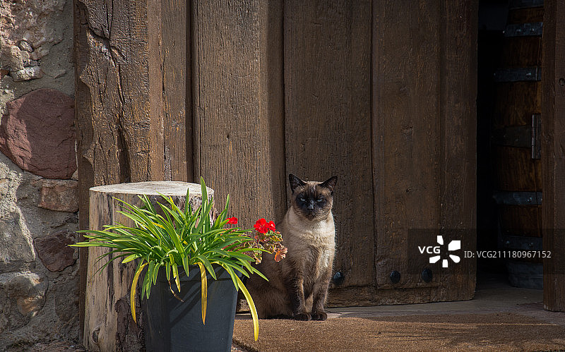 《卫报》图片素材