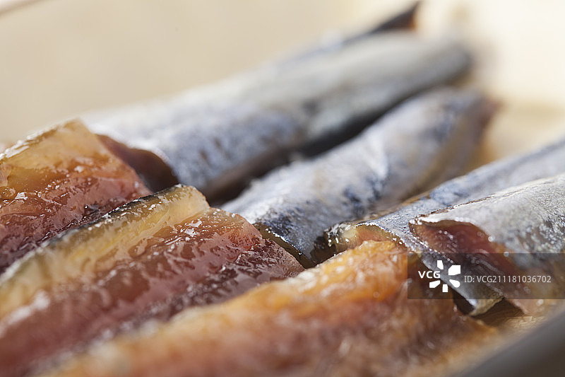 半干鲱鱼或旗鱼图片素材