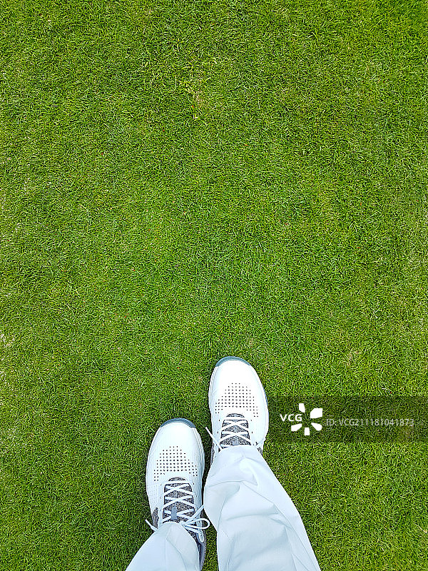 绿色高尔夫球场图片素材