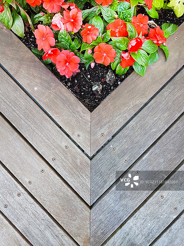 花田（耕地），花卉，木材图片素材