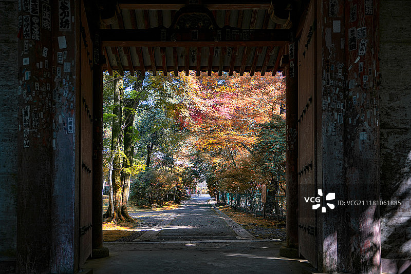 门内秋色图片素材