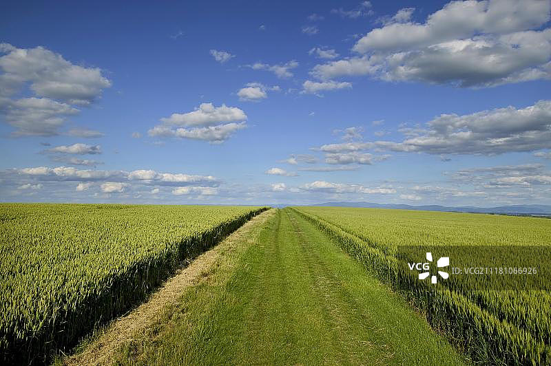 农业景观，利马涅平原，多姆山，奥弗涅，法国，欧洲图片素材