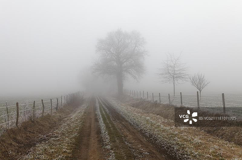 冬季穿过田野的轨迹，多姆山，奥弗涅，法国，欧洲图片素材