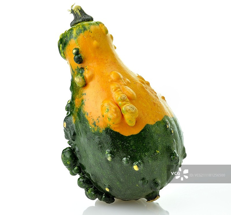 白色背景上的迷你黄色和绿色南瓜图片素材