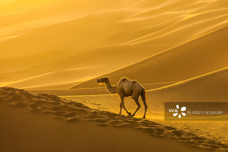 新疆维吾尔自治区吐鲁番鄯善沙漠风光图片素材