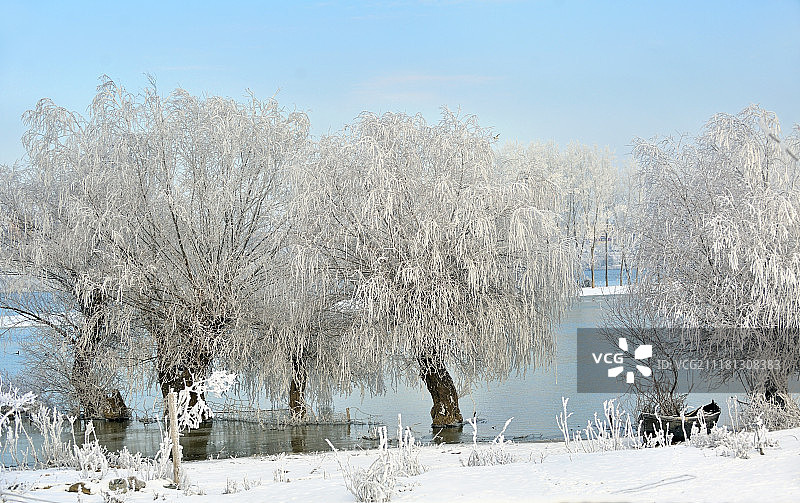 多瑙河上寒冷的冬日树木图片素材