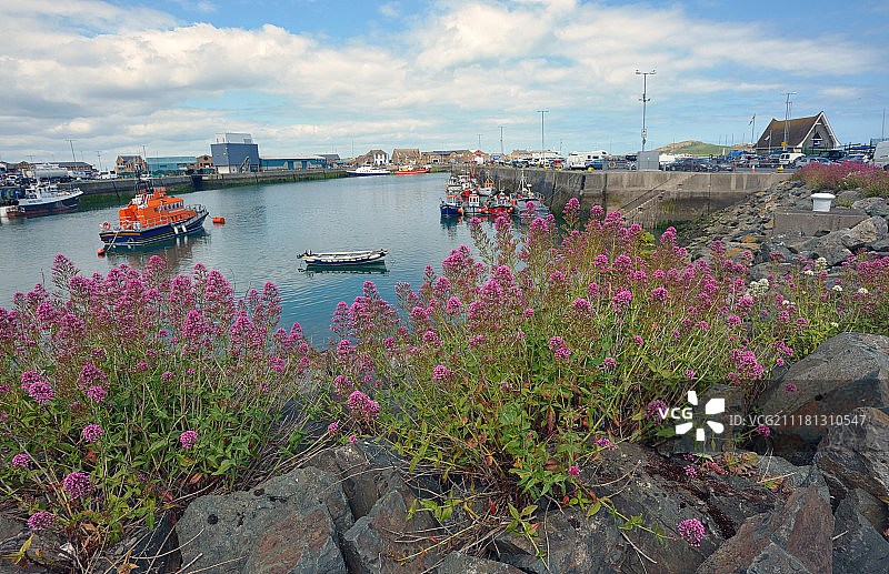 夏季爱尔兰的霍斯港图片素材