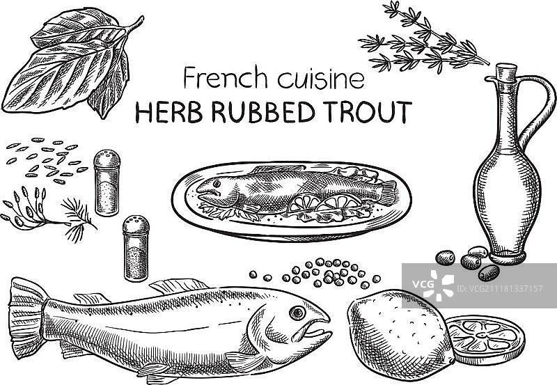 香草烤鳟鱼创意概念矢量图：手绘法式食谱插画图片素材
