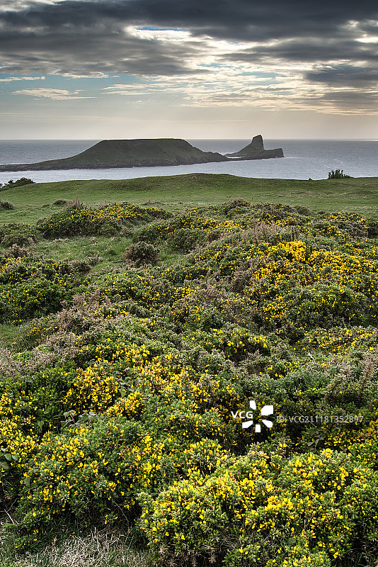 威尔士罗斯里湾的蠕虫头夏日风光图片素材