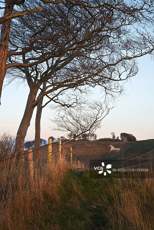 英格兰威尔特郡切希尔山古代白垩马的美丽景色图片素材