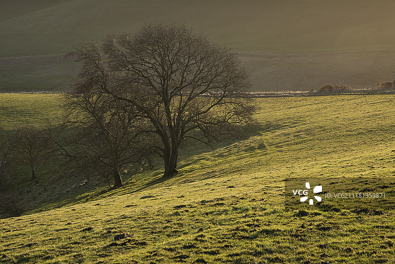 英格兰乡村日出美景，阳光洒在山丘上图片素材