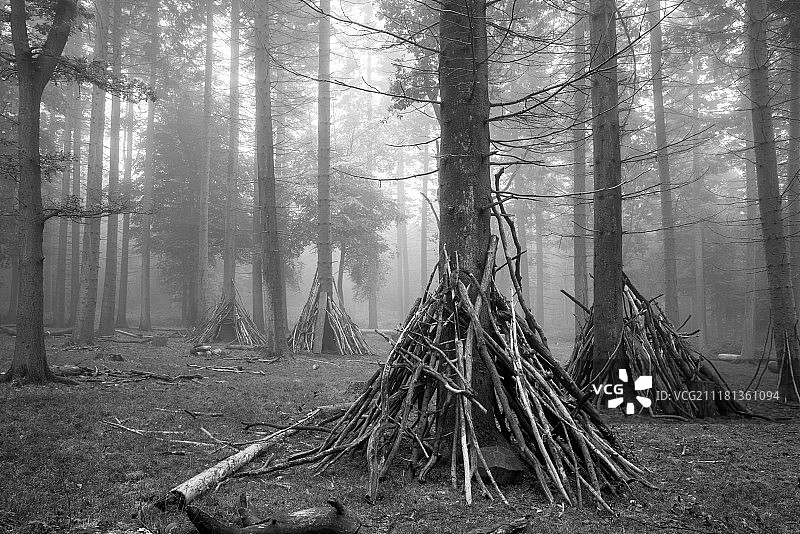 雾蒙蒙的秋季森林景观中的儿童游戏区图片素材