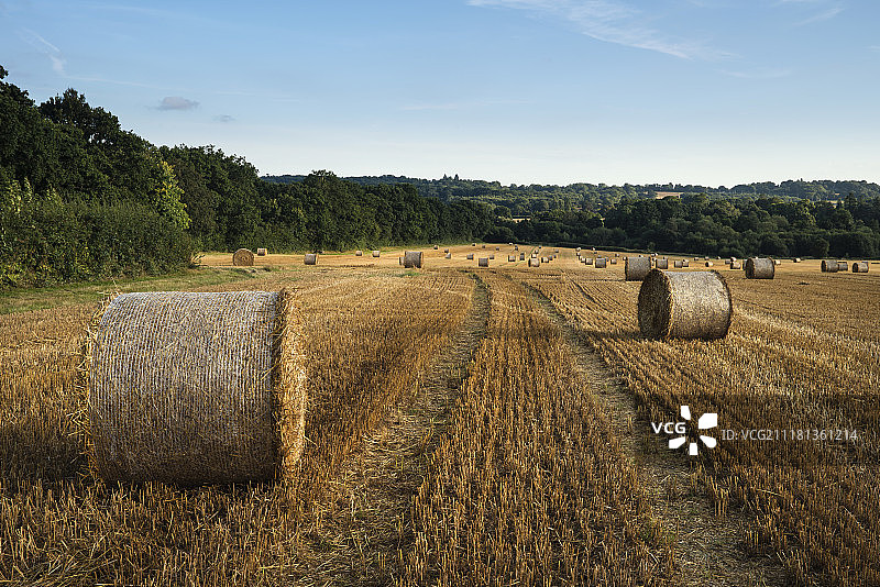 夏季田野的干草堆美丽乡村风光图片素材